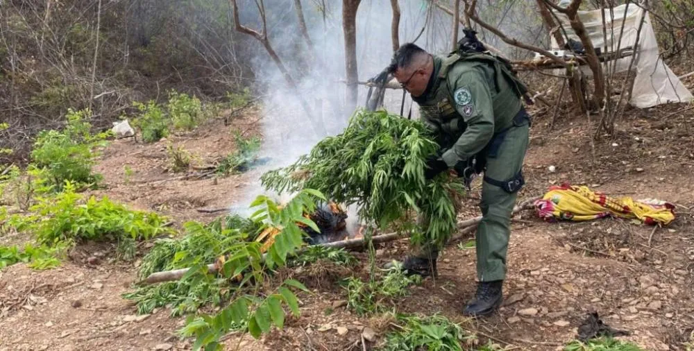 Foto: Divulgação / PMCE