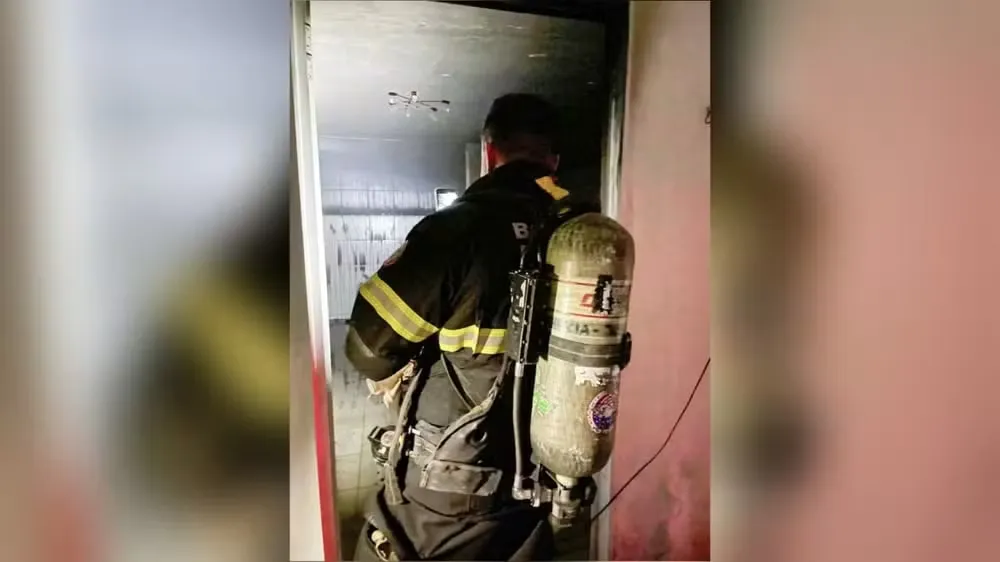  Foto: SSPDS/Reprodução