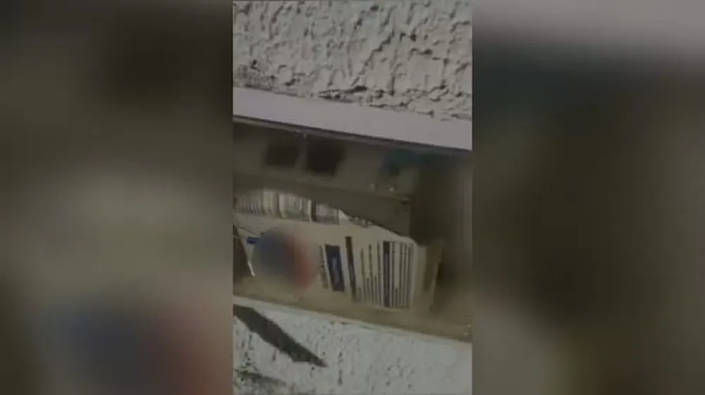 Foto: Reprodução/TV Verdes Mares