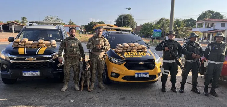 Foto: Divulgação / PRF