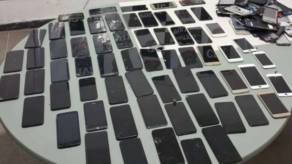 Foto: Polícia Civil/ Divulgação