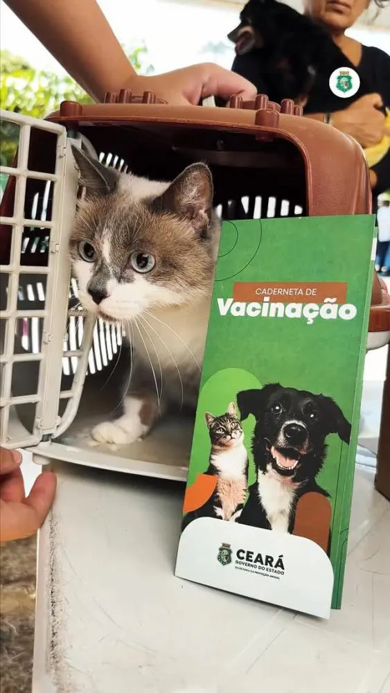 Foto: Reprodução/Instagram @sepaceara