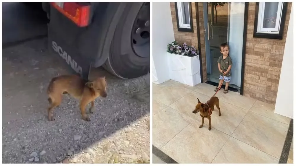  Foto: Arquivo pessoal