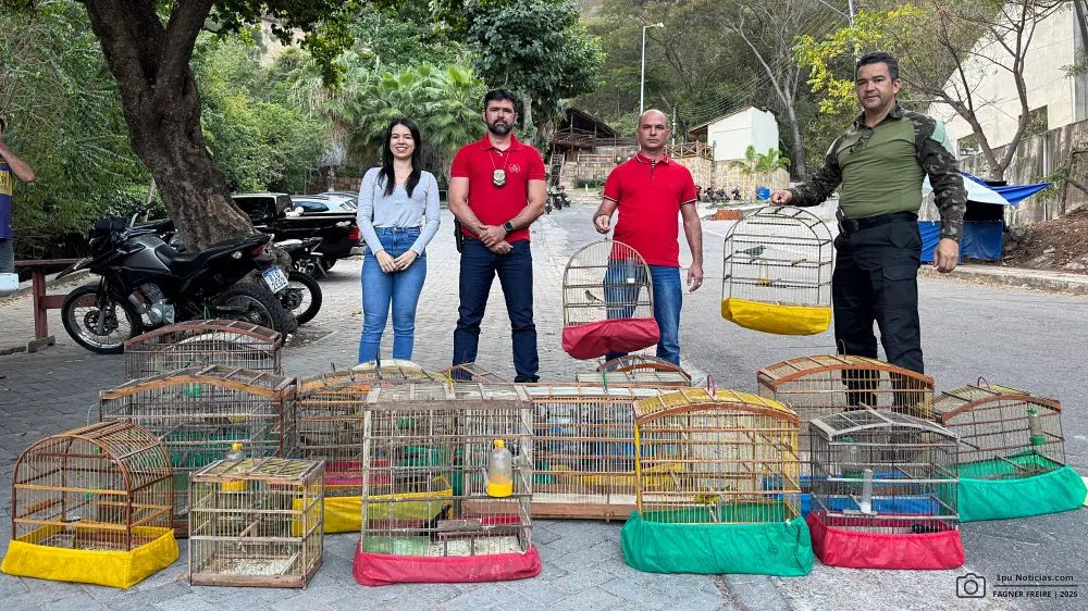 Foto: Reprodução