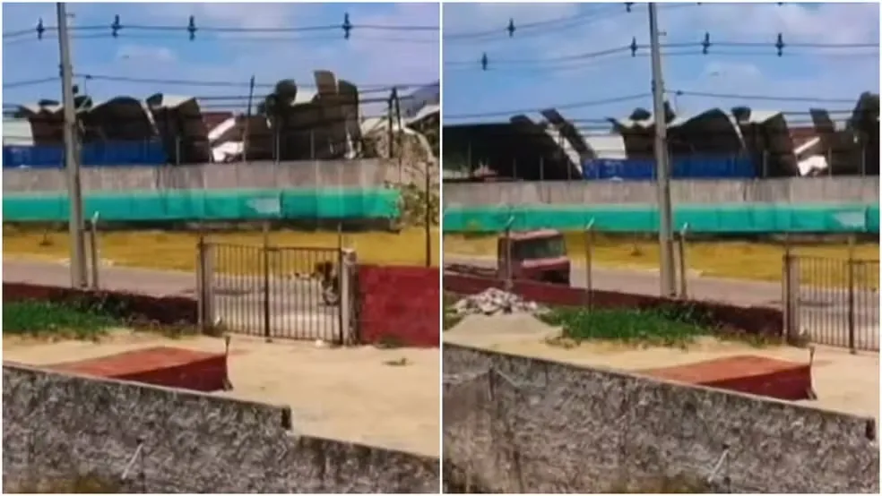 Foto: Reprodução / Tv Verdes Mares 