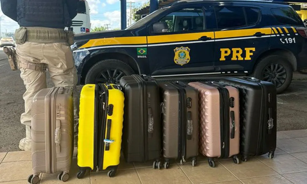 PRF apreende na Bahia mais de 71 kg de drogas com destino a Varjota