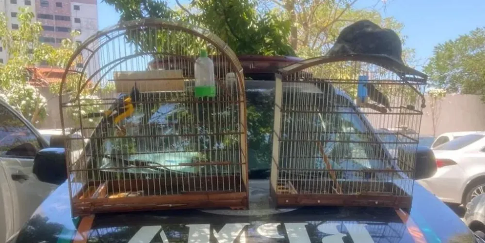 Foto: Divulgação / PMCE