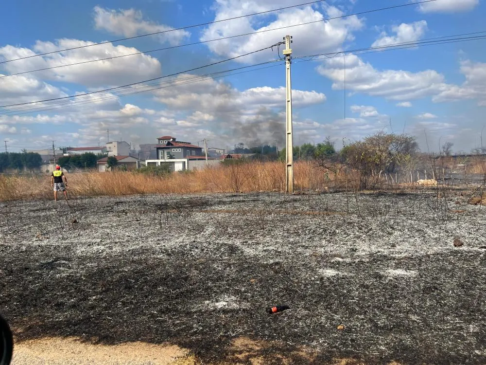 Foto: Thiago Rodrigues/ AVSQ