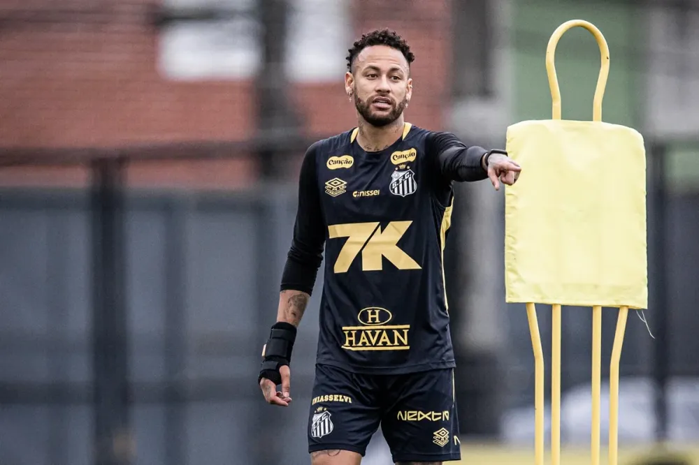 Raul Baretta/ Santos FC