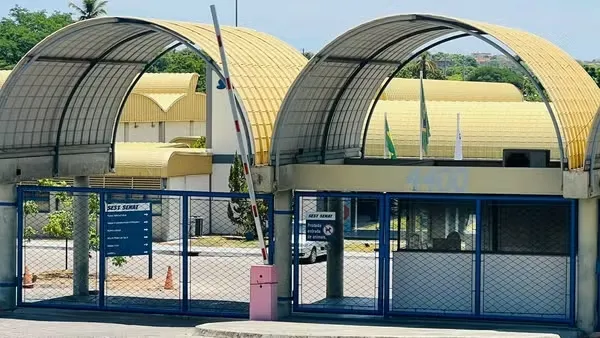 Foto: Darlene Barbosa/TVM