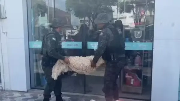 Foto: PMCE/ Divulgação