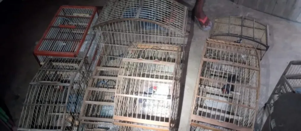 Foto: Reprodução / PMCE