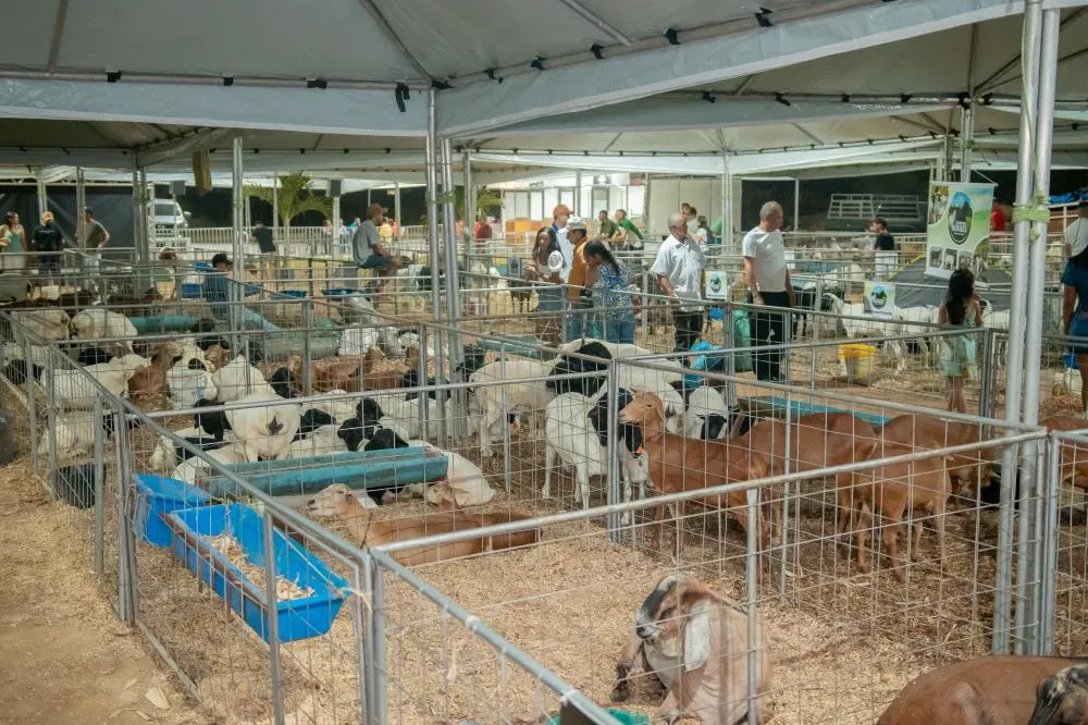 Foto: Antonio Jonathan/PMSQ