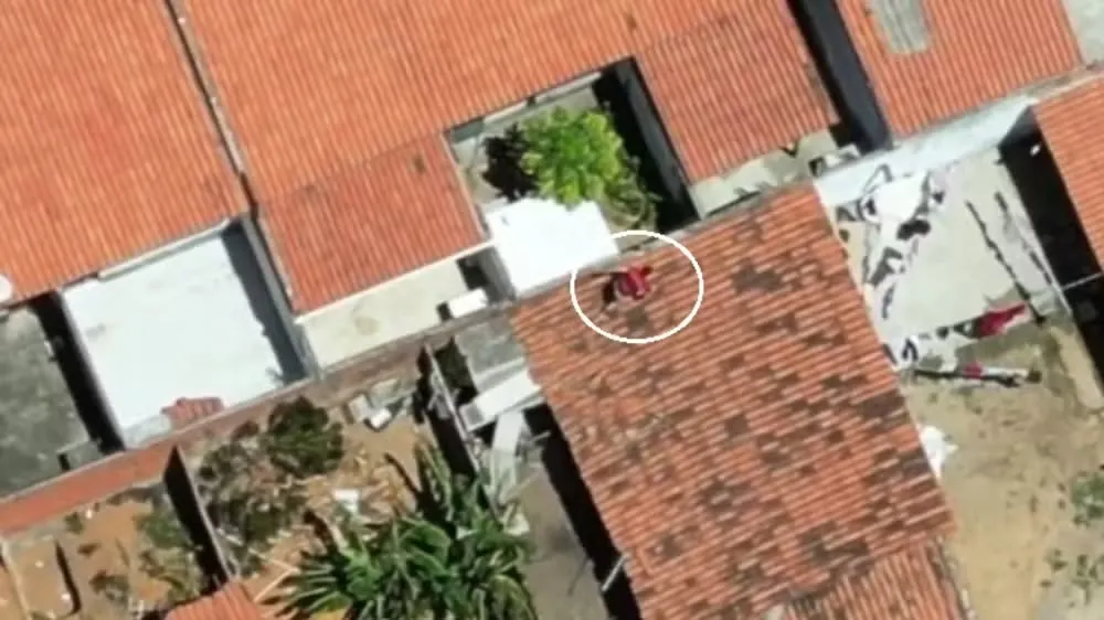  Foto: Polícia Civil/ Divulgação