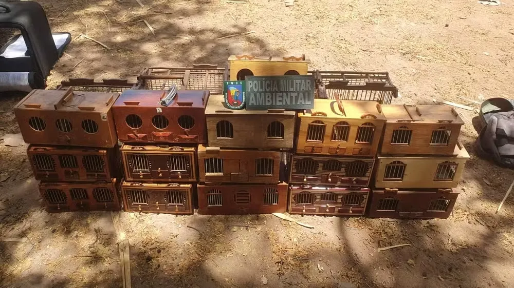 Foto: PMCE/Reprodução