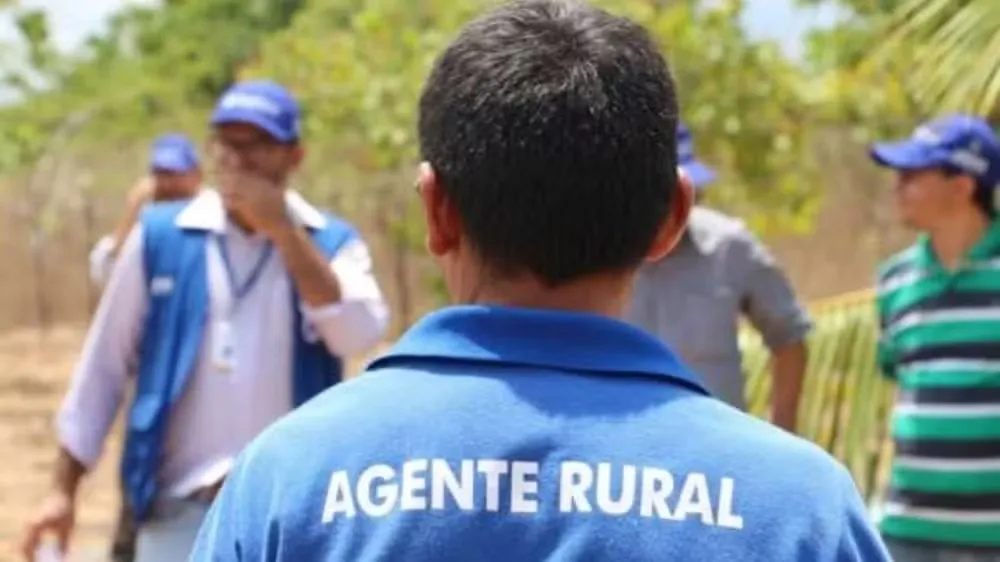 Foto: Secretaria do Desenvolvimento Agrário/ Divulgação