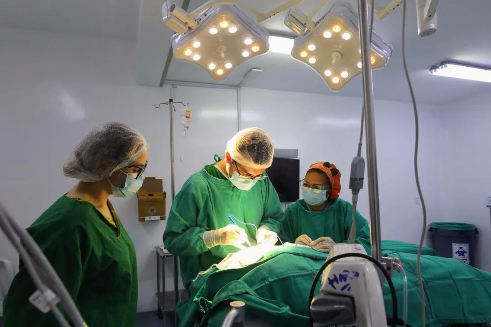 Foto: Hiane Braun - Casa Civil