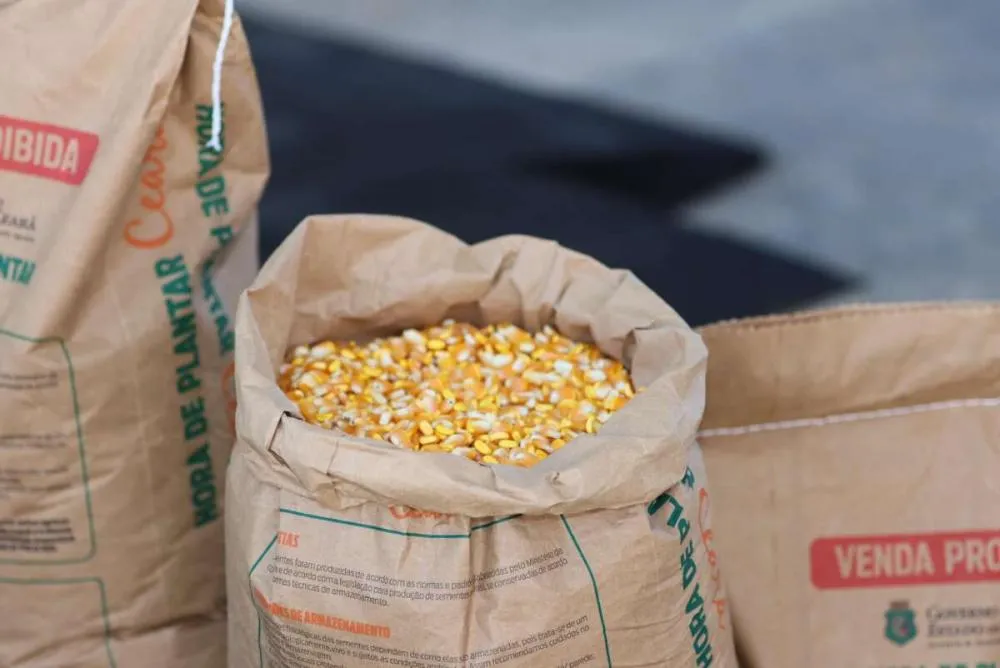 Foto: Governo do Ceará 