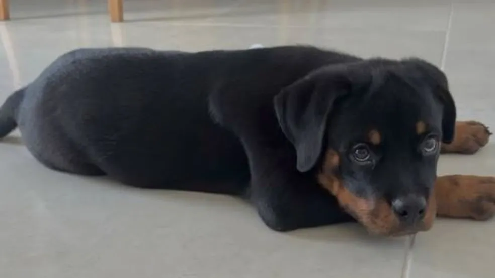 Foto: Instagram/ Reprodução