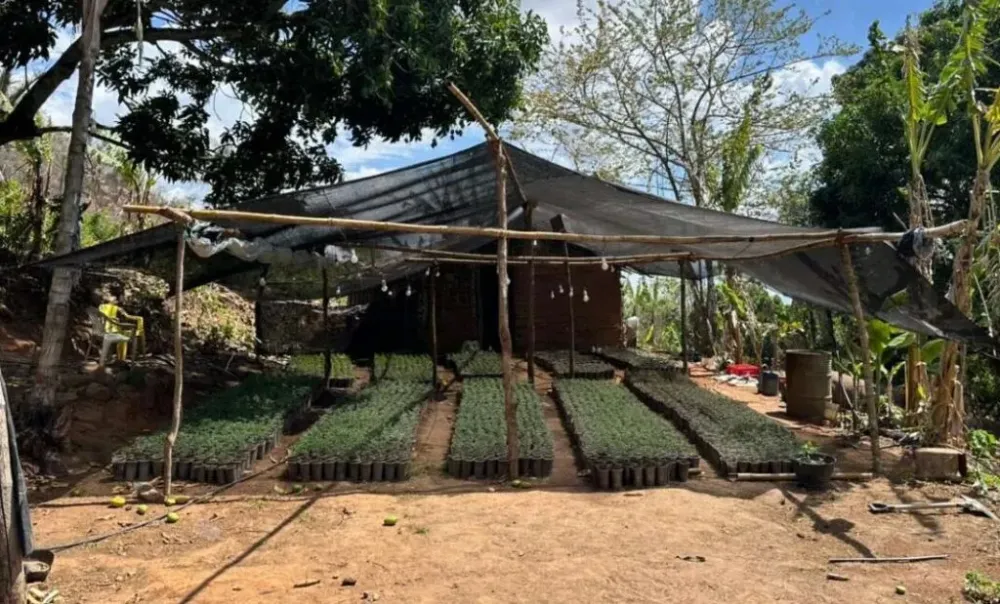 Foto: Divulgação / PMCE