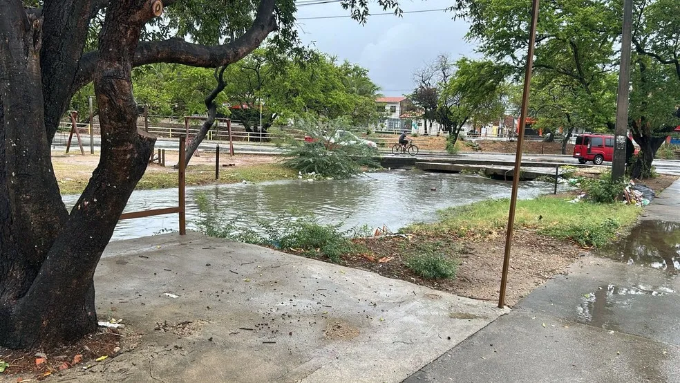 Foto: Nathally Kimberly/TV Verdes Mares