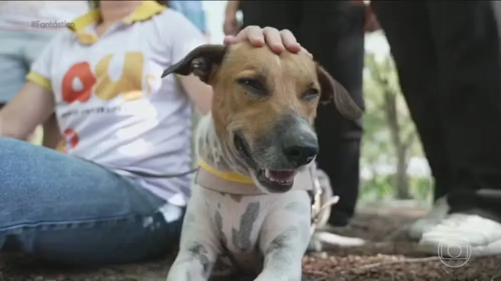 Foto: Fantástico/ Reprodução