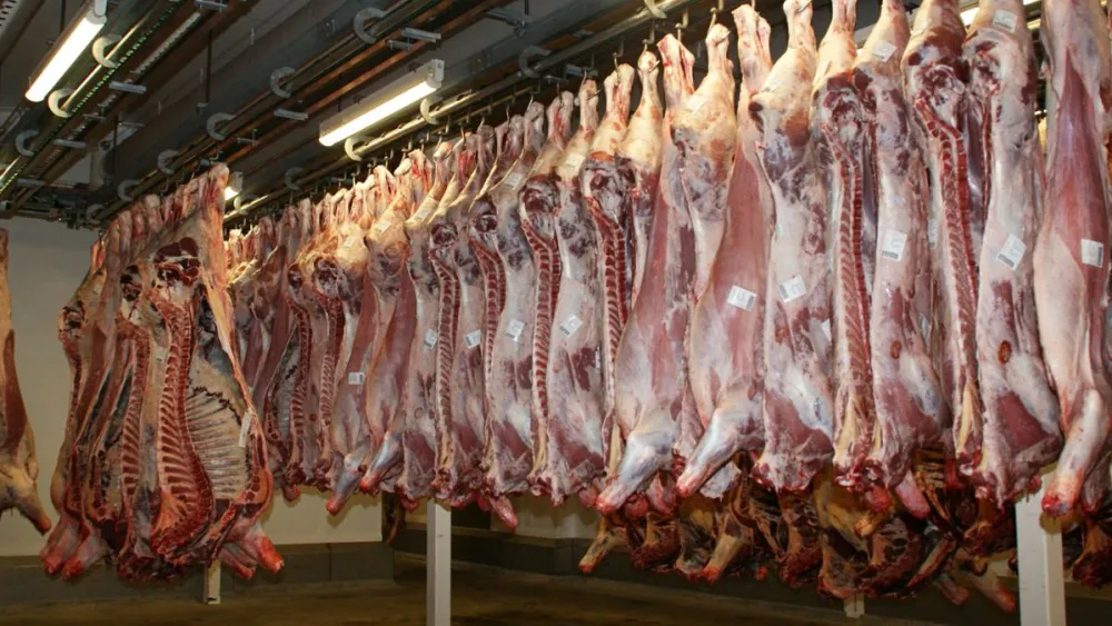 Foto: Canva / Banco de Imagem