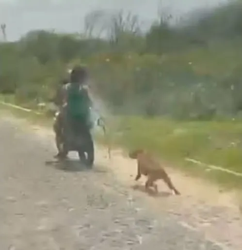 Foto: Miquéias Santos/ Arquivo pessoal