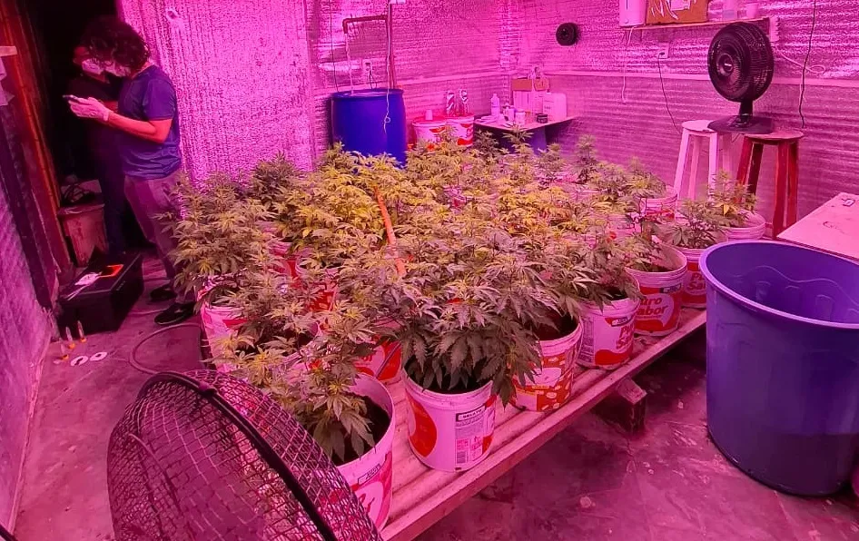 Foto: Divulgação / PCCE