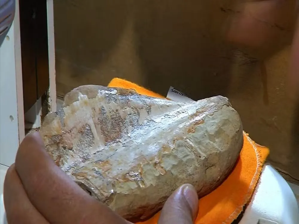  Foto: Geopark Araripe/Divulgação