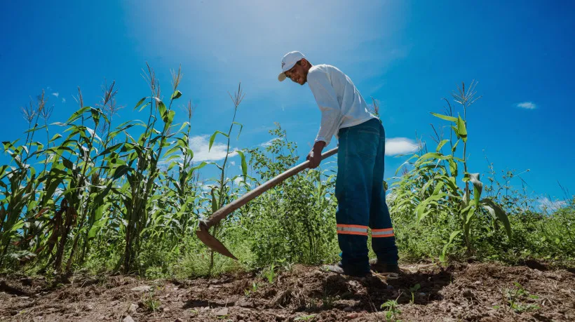 Foto: Julio Caesar/O POVO