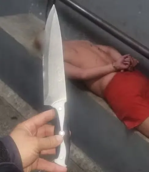 Foto: Divulgação/GMF