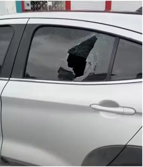 Foto: William Brener/Arquivo pessoal