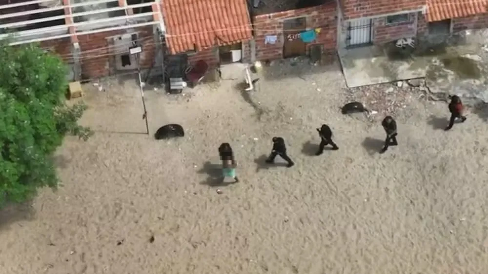  Foto: SSPDS/ Divulgação