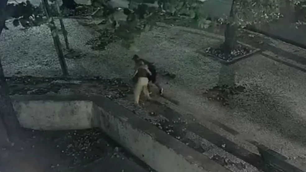 Foto: Guarda Municipal de Fortaleza/ Divulgação