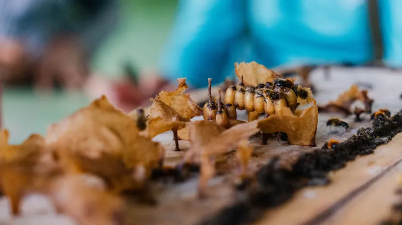 Foto: Fernanda Barros