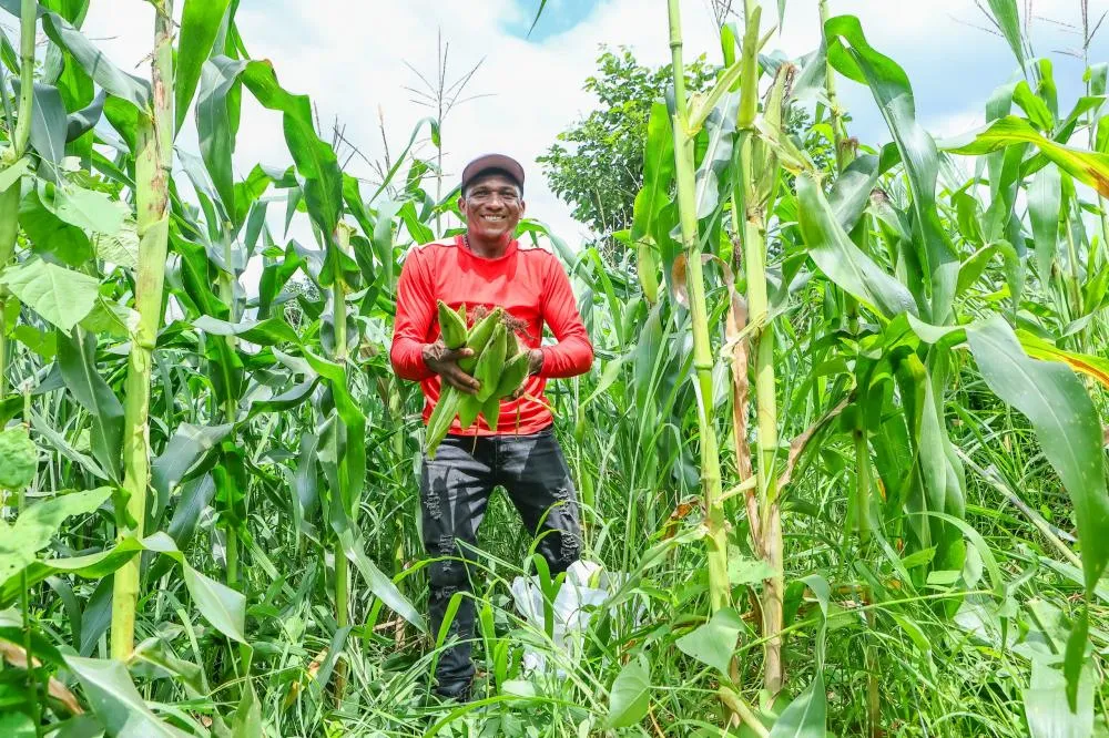 Foto: Reprodução/ Governo do Estado 