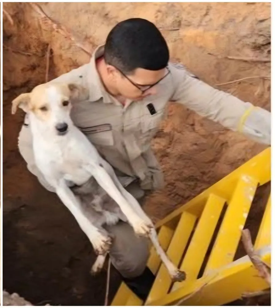 Foto: Bombeiros de Aracati/ Divulgação