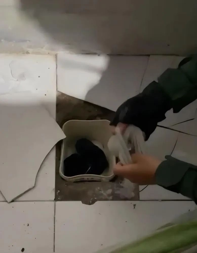 Foto: Reprodução / TV Cidade Fortaleza