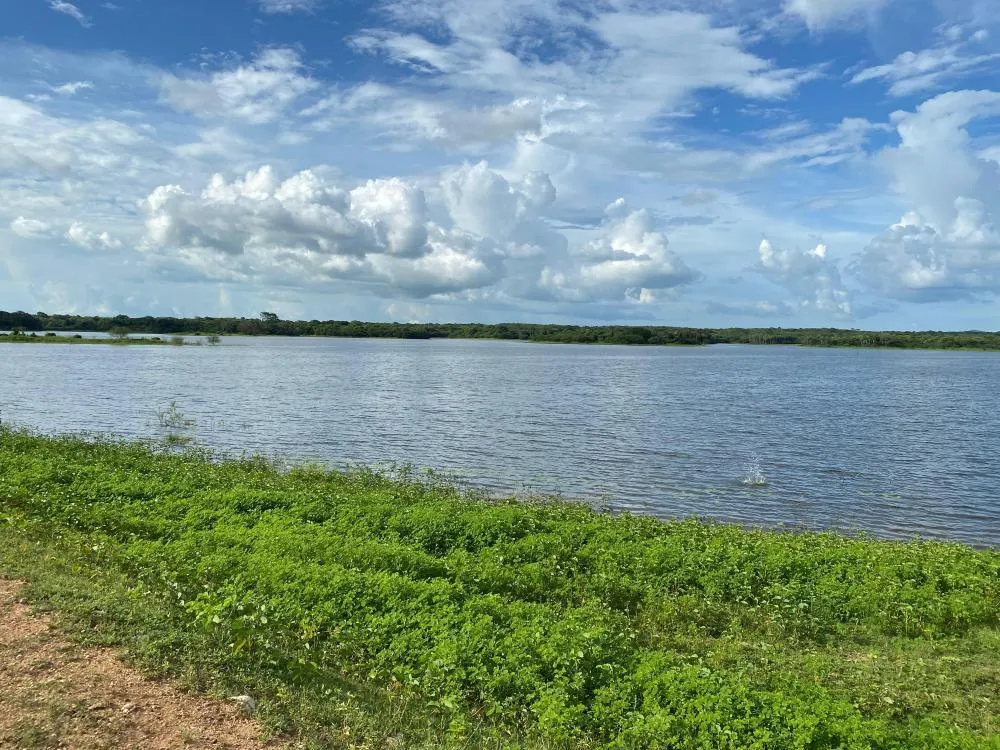 Foto: Thiago Rodrigues/ AVSQ