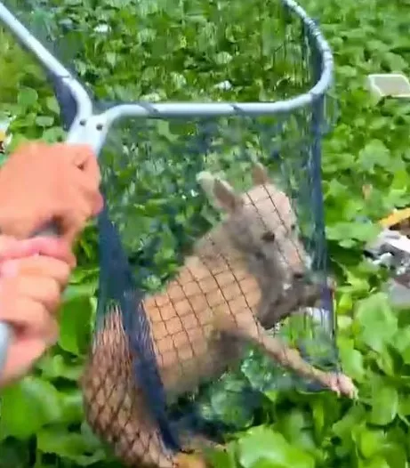 Foto: Polícia Militar do Ceará