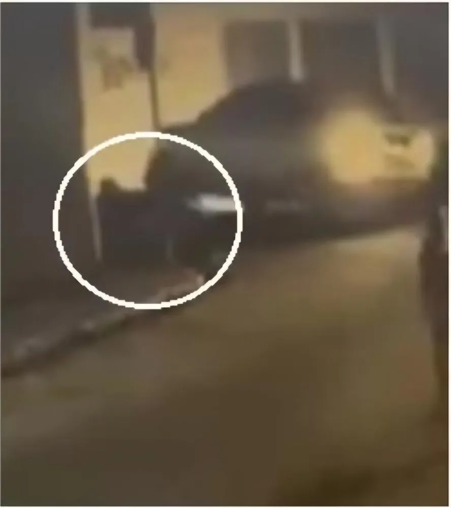 Foto: Reprodução/Redes sociais 