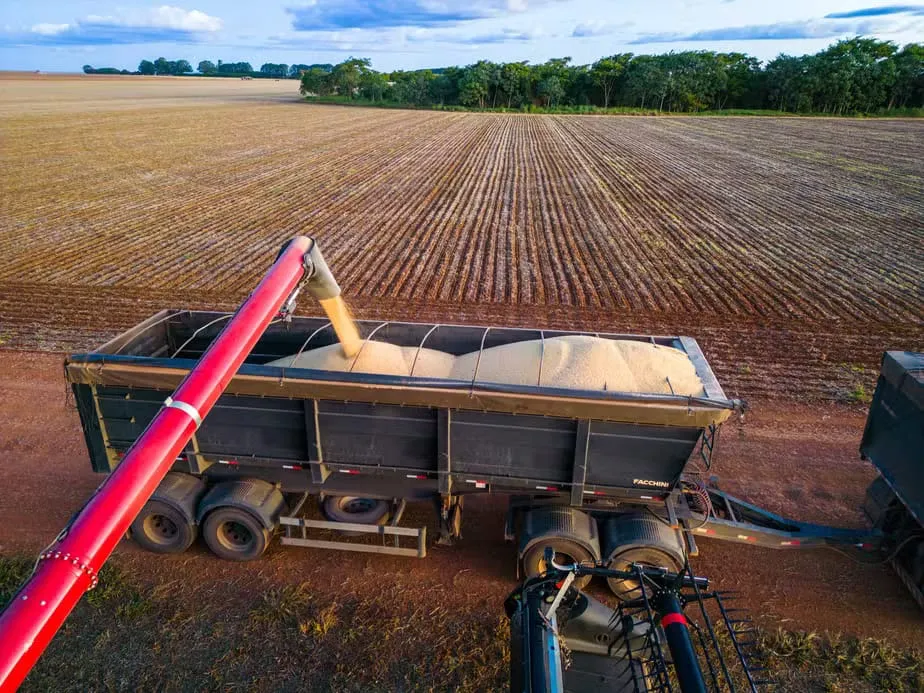 Foto: Wenderson Araújo/CNA