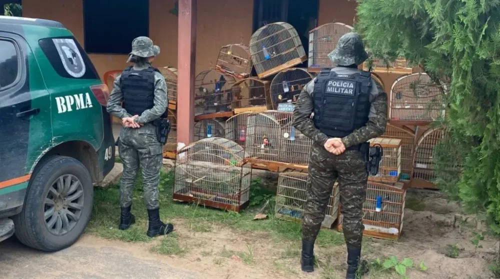 Foto: Divulgação / PMCE