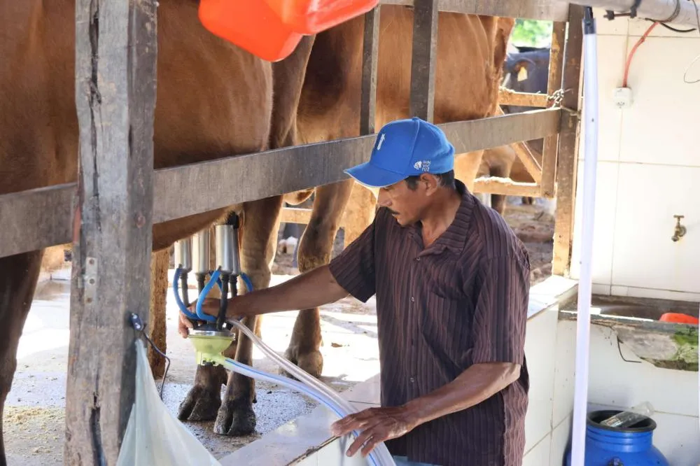 Foto: Divulgação | Governo do Ceará