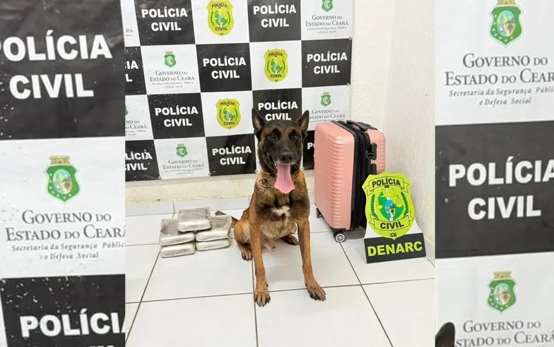 Foto: Polícia Civil