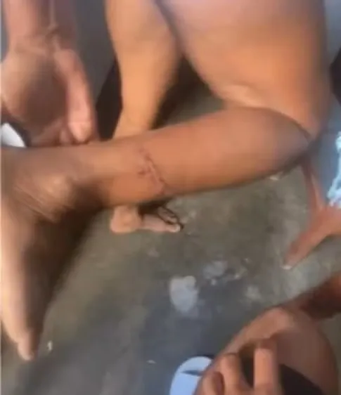 Foto: Reprodução