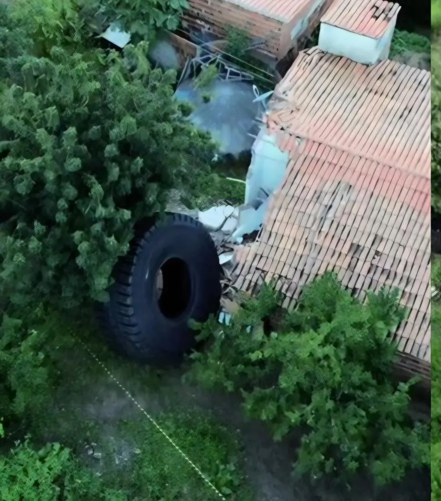 Foto: Reprodução