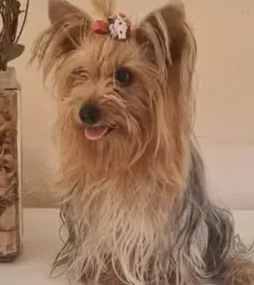 Foto: Arquivo pessoal