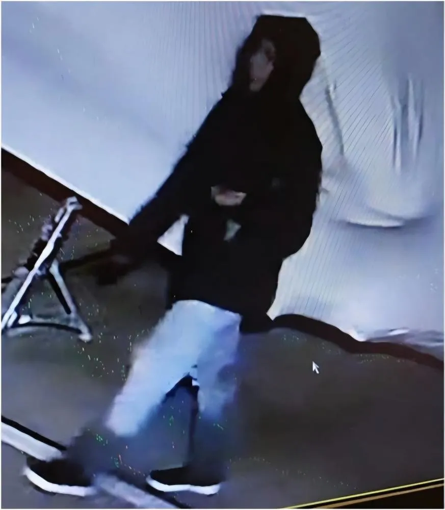 Foto: Polícia de Essex/Reprodução